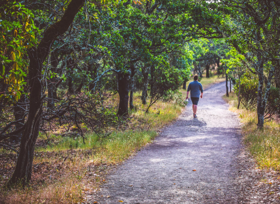 Foothill Regional Park