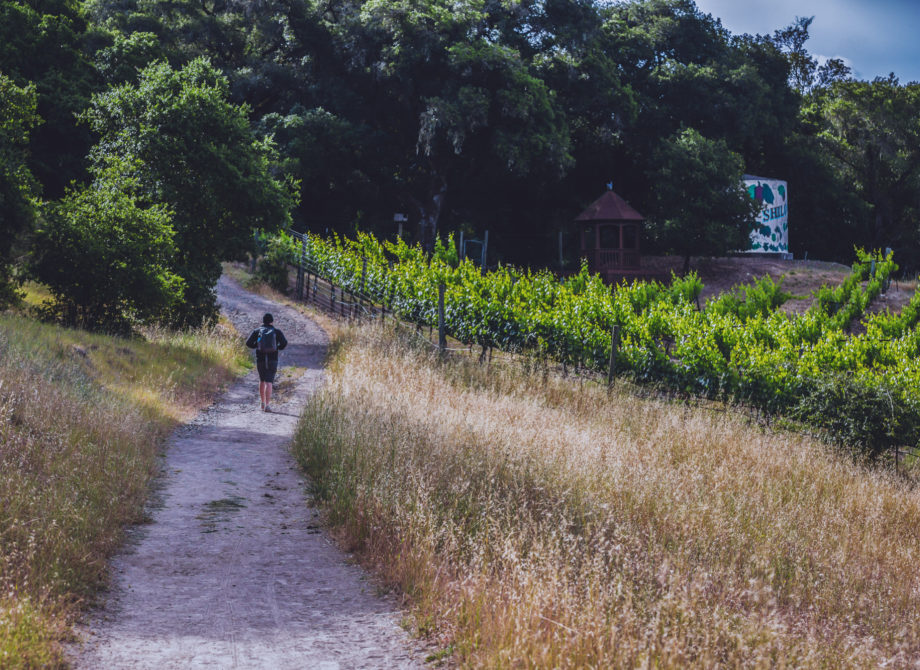 Shiloh Ranch Regional Park
