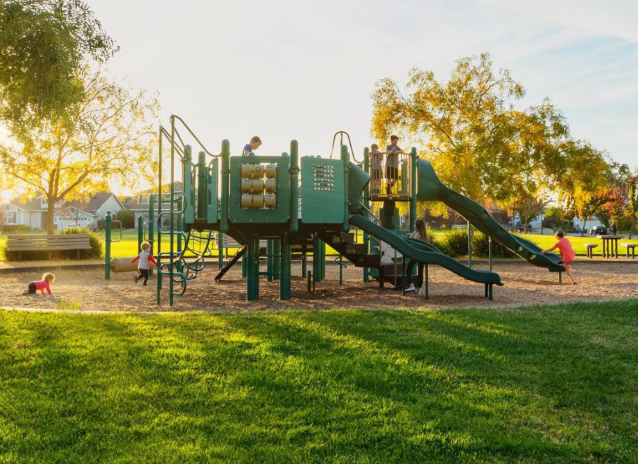 Vintage Oaks Park